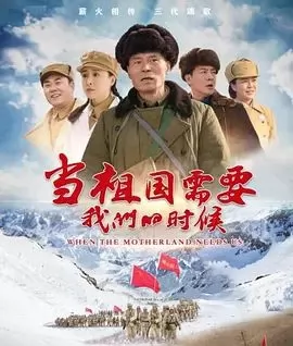 当祖国需要我们的时候海报