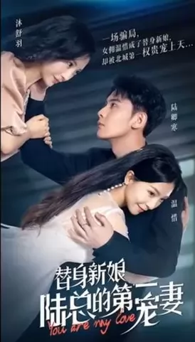替身新娘:陆总的第一宠妻